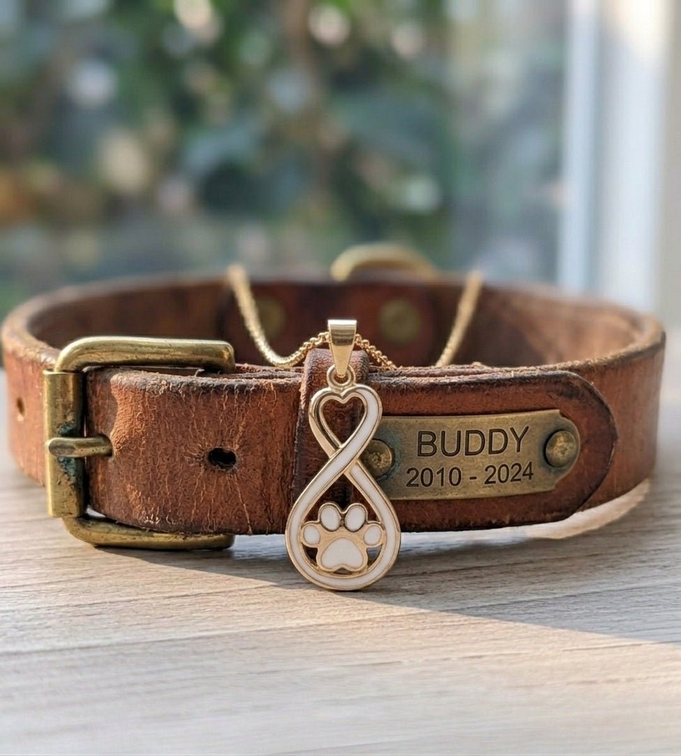 Brown leather dog collar with a gold pendant with cremation ash in it and 'Buddy' plaque on a wooden surface.